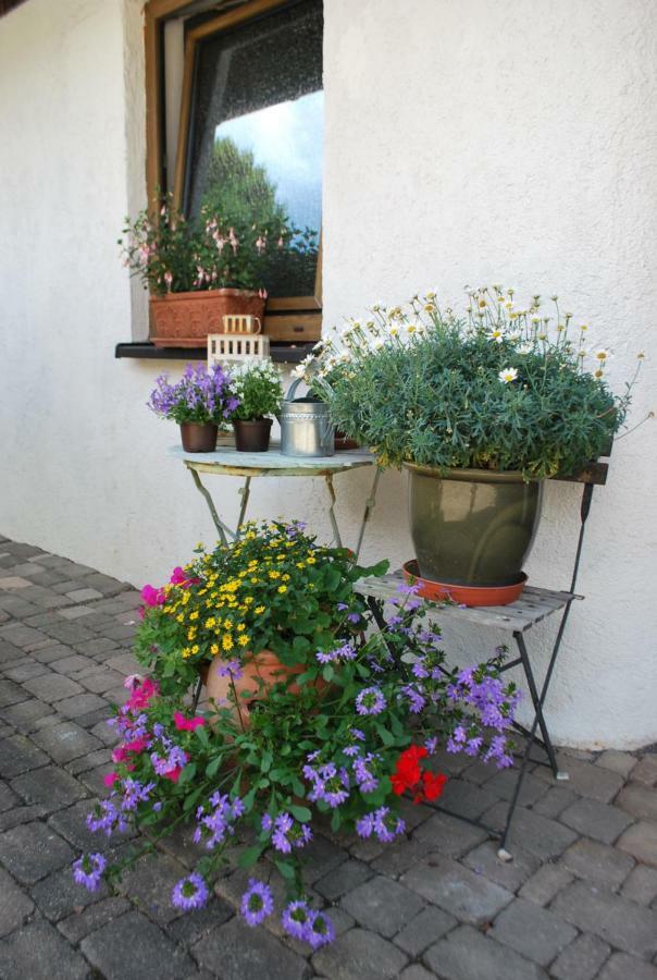 Homestay Cozy Room Markdorf Buitenkant foto