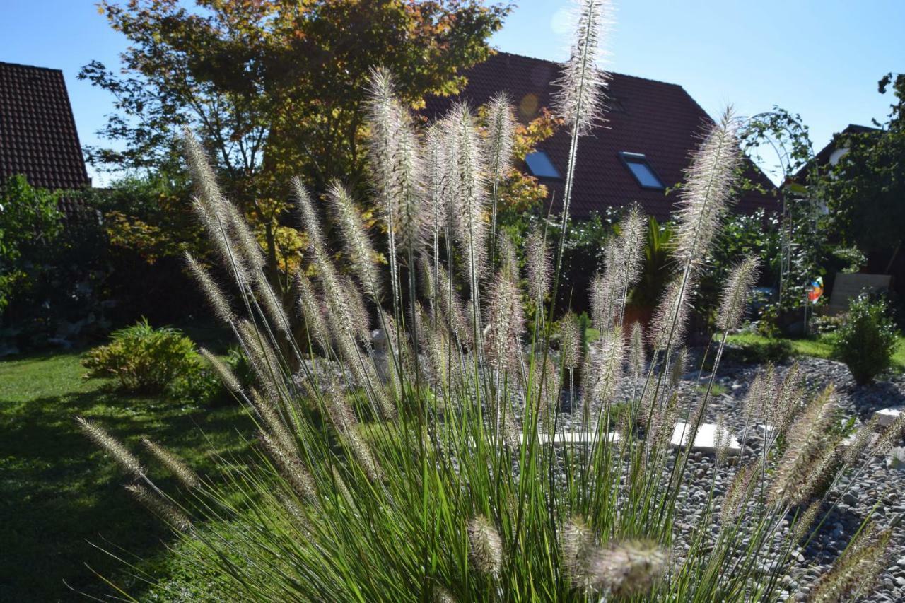 Homestay Cozy Room Markdorf Buitenkant foto